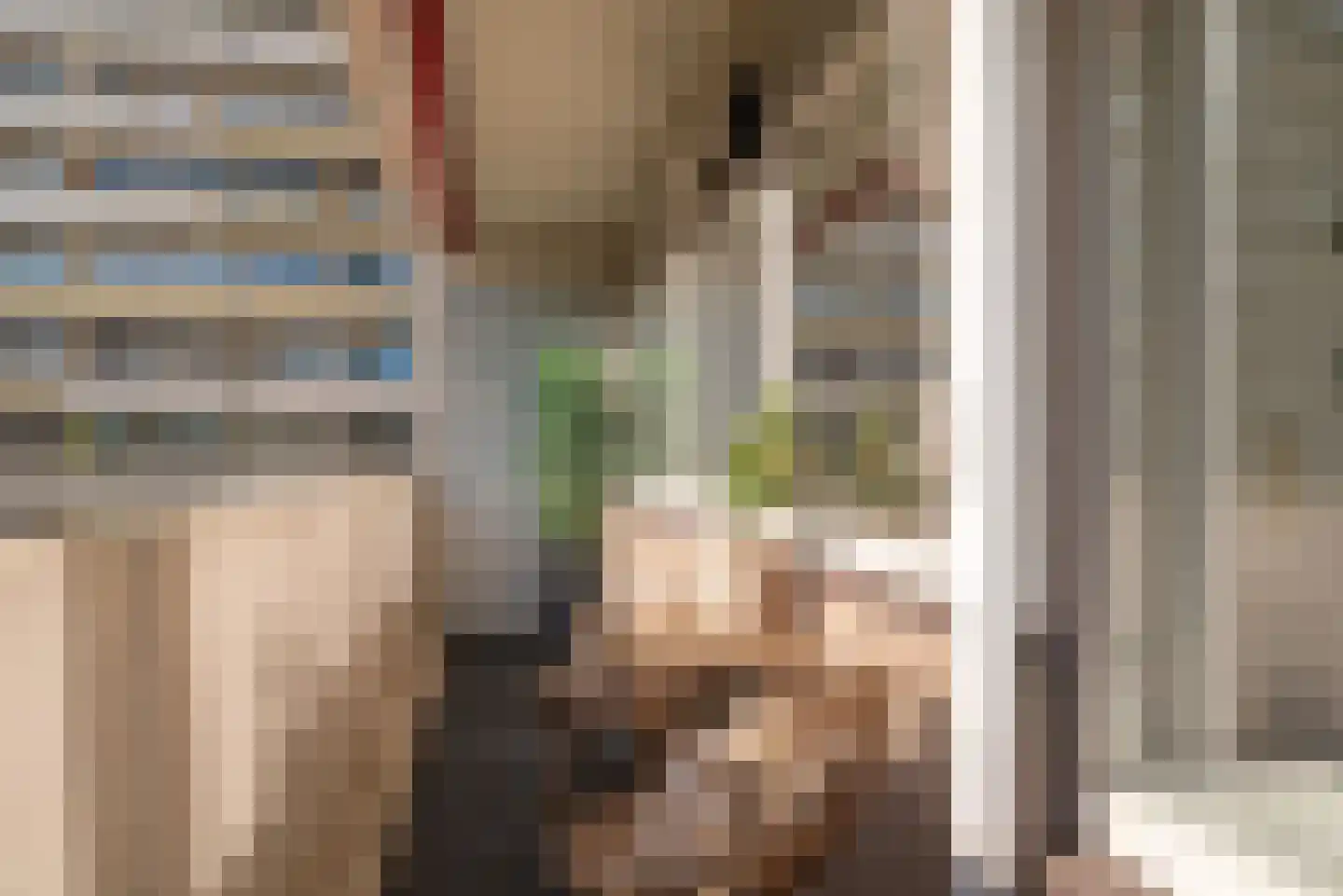 Pinksterbloemweg 141 Zaandam thumbnail 8