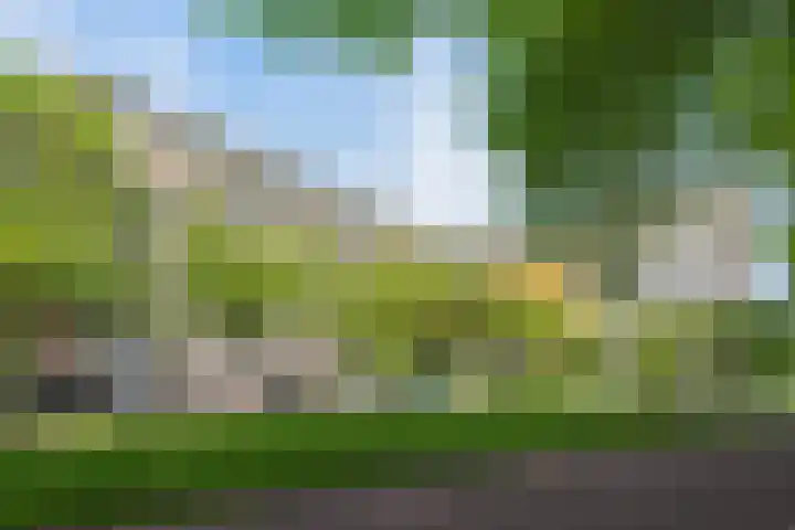 Pinksterbloemweg 151 Zaandam thumbnail 33