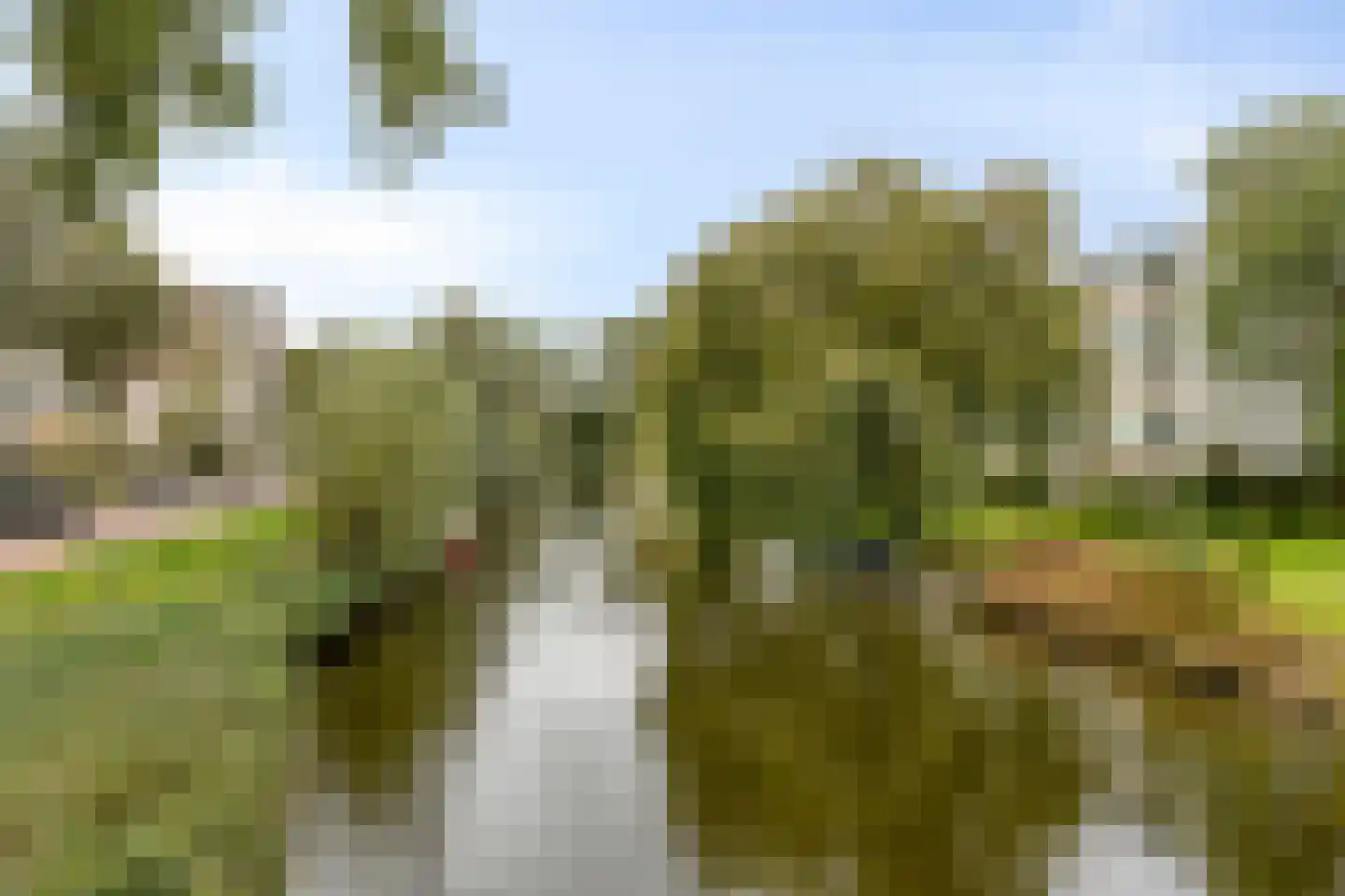 Pinksterbloemweg 16 Zaandam thumbnail 24