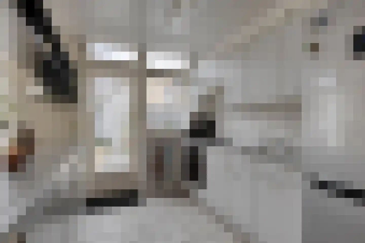 Pinksterbloemweg 16 Zaandam thumbnail 6