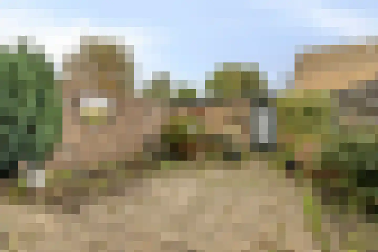 Pinksterbloemweg 16 Zaandam thumbnail 8