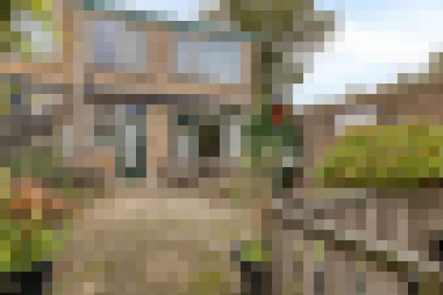 Pinksterbloemweg 16 Zaandam thumbnail 9