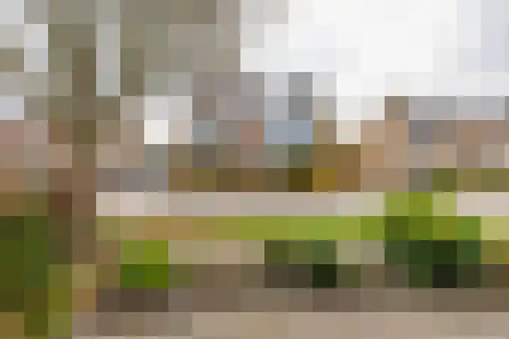 Pinksterbloemweg 18 Haren Gn thumbnail 4