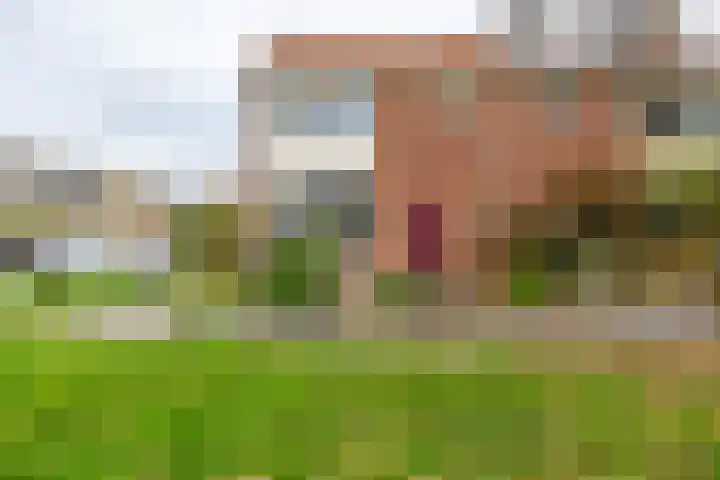 Pinksterbloemweg 18 Haren Gn thumbnail 6
