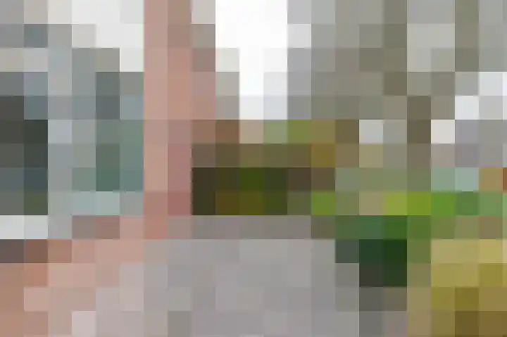 Pinksterbloemweg 18 Haren Gn thumbnail 7