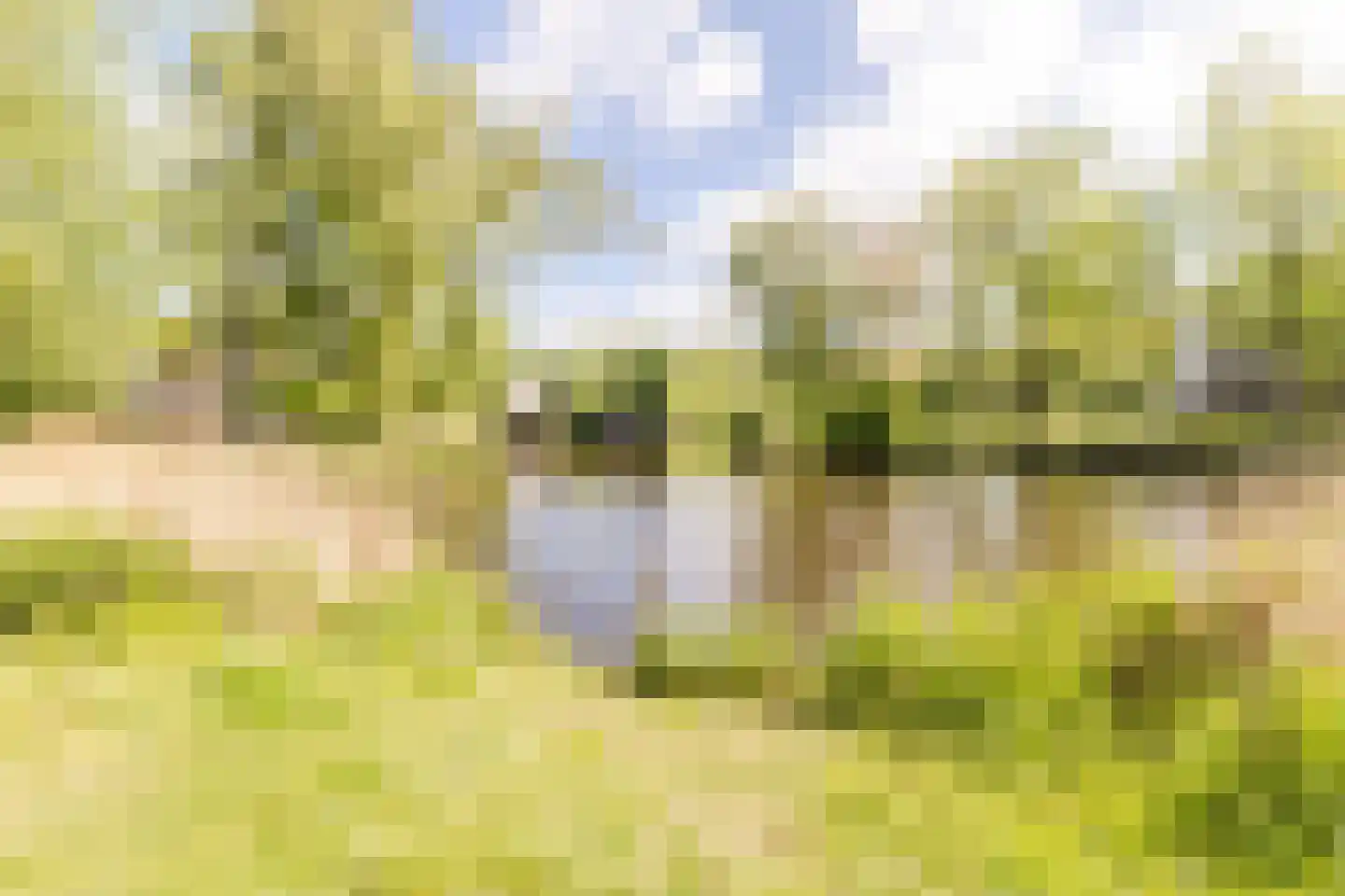 Pinksterbloemweg 211 Zaandam thumbnail 34