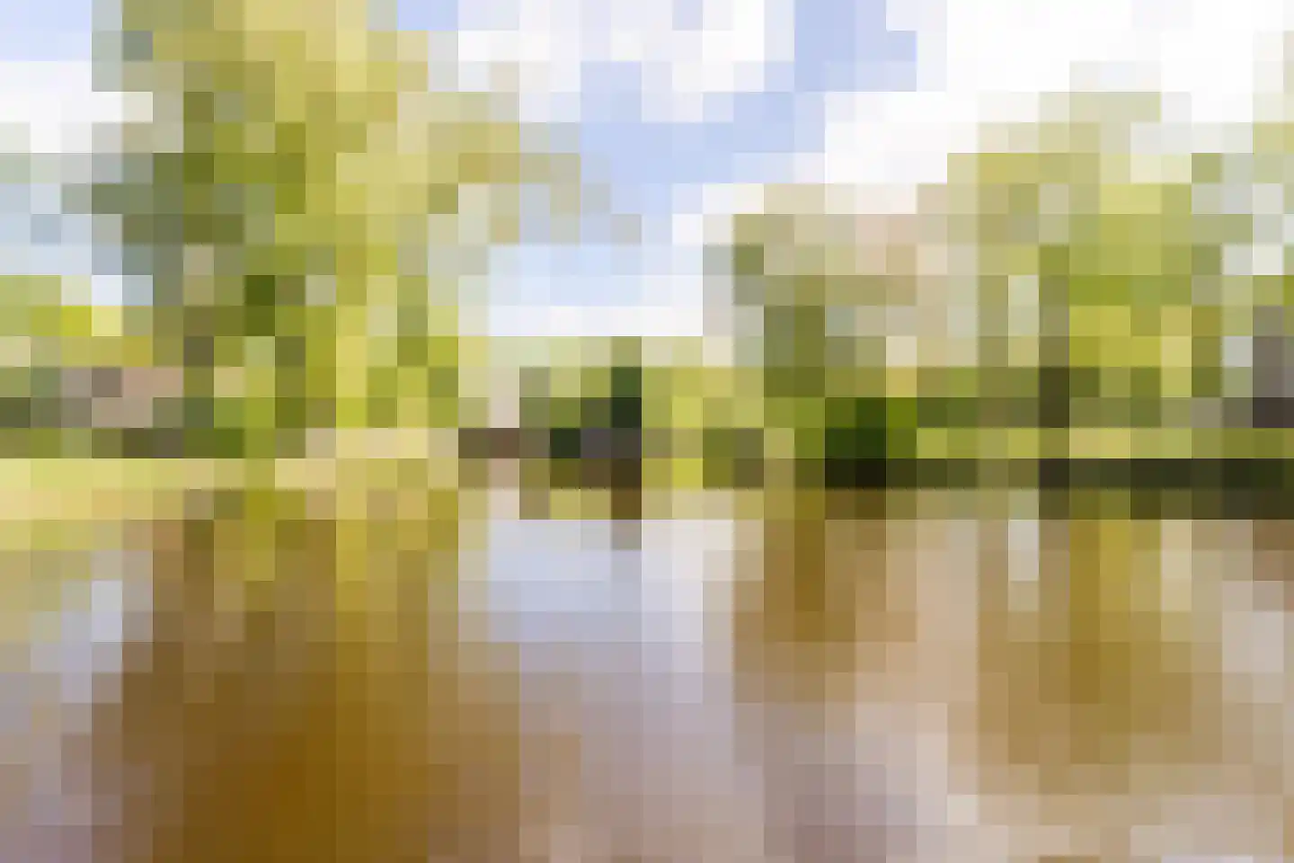 Pinksterbloemweg 211 Zaandam thumbnail 35