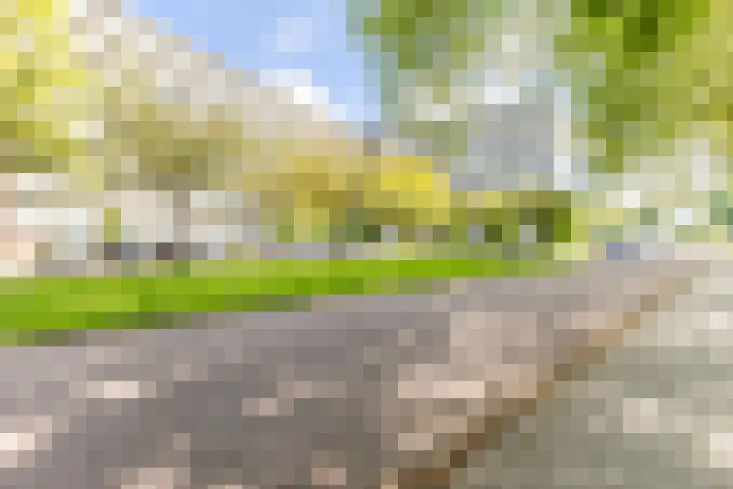 Pinksterbloemweg 211 Zaandam thumbnail 36