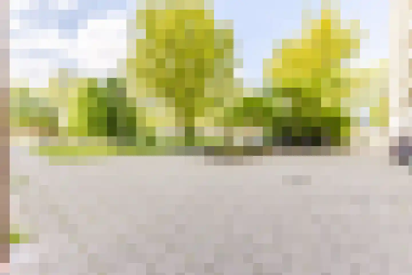 Pinksterbloemweg 211 Zaandam thumbnail 8