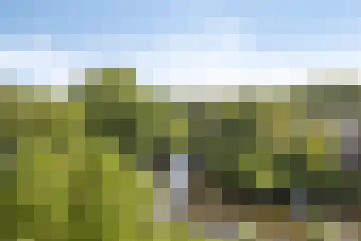 Pinksterbloemweg 269 Zaandam thumbnail 20