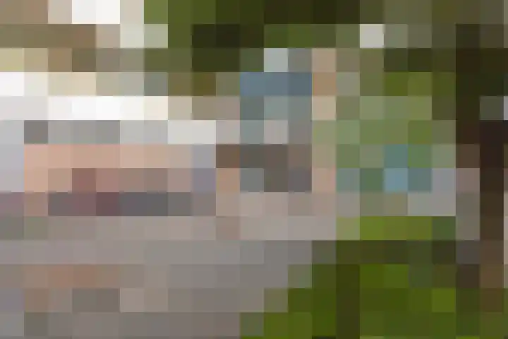 Pinksterbloemweg 269 Zaandam thumbnail 32