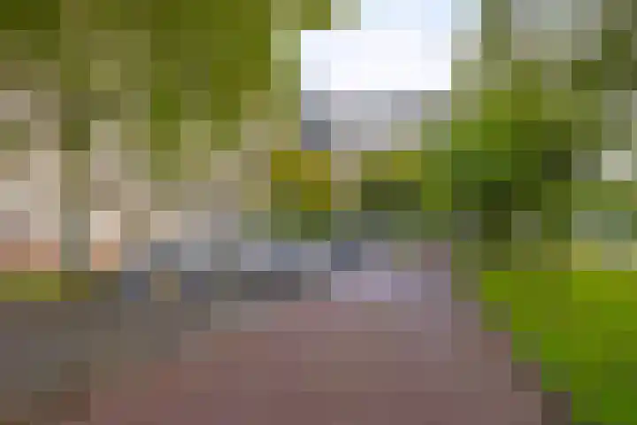 Pinksterbloemweg 269 Zaandam thumbnail 33