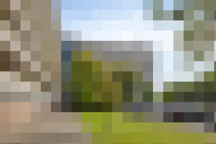 Pinksterbloemweg 269 Zaandam thumbnail 34