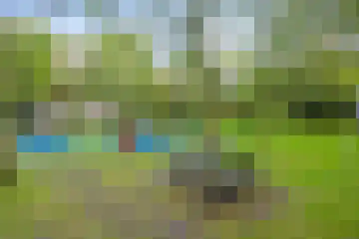 Pinksterbloemweg 269 Zaandam thumbnail 35