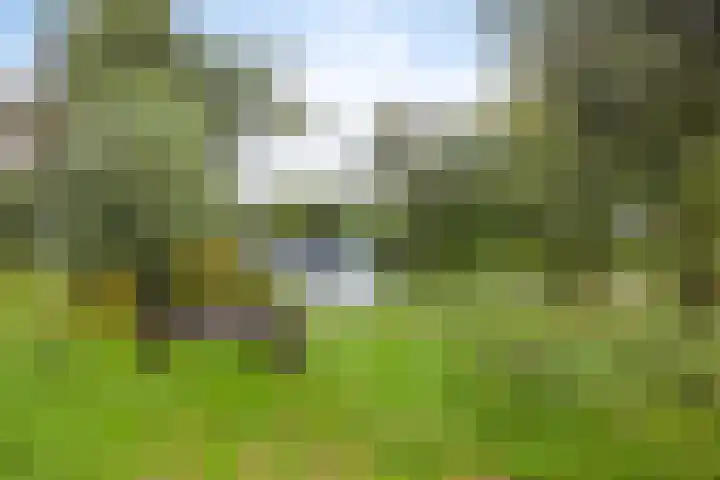 Pinksterbloemweg 269 Zaandam thumbnail 36