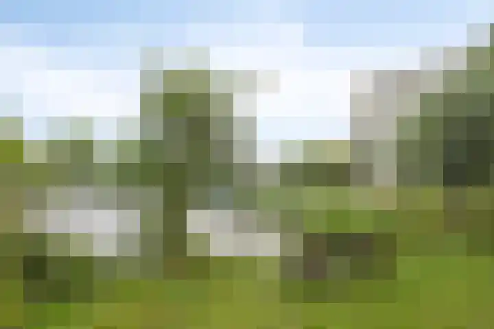 Pinksterbloemweg 269 Zaandam thumbnail 37