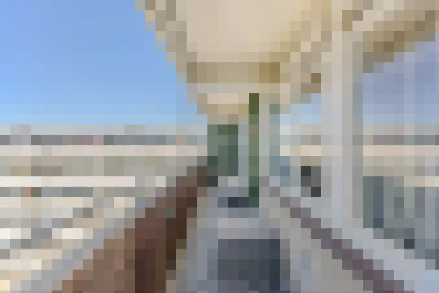 Pinksterbloemweg 271 Zaandam thumbnail 7