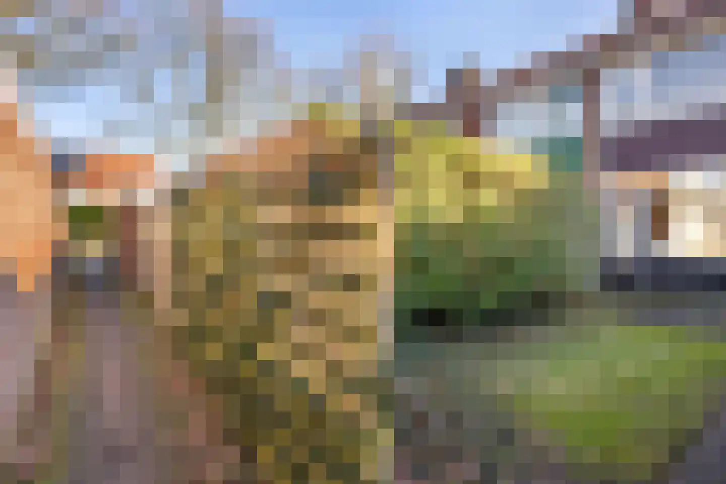 Pinksterbloemweg 36 Haren Gn thumbnail 46