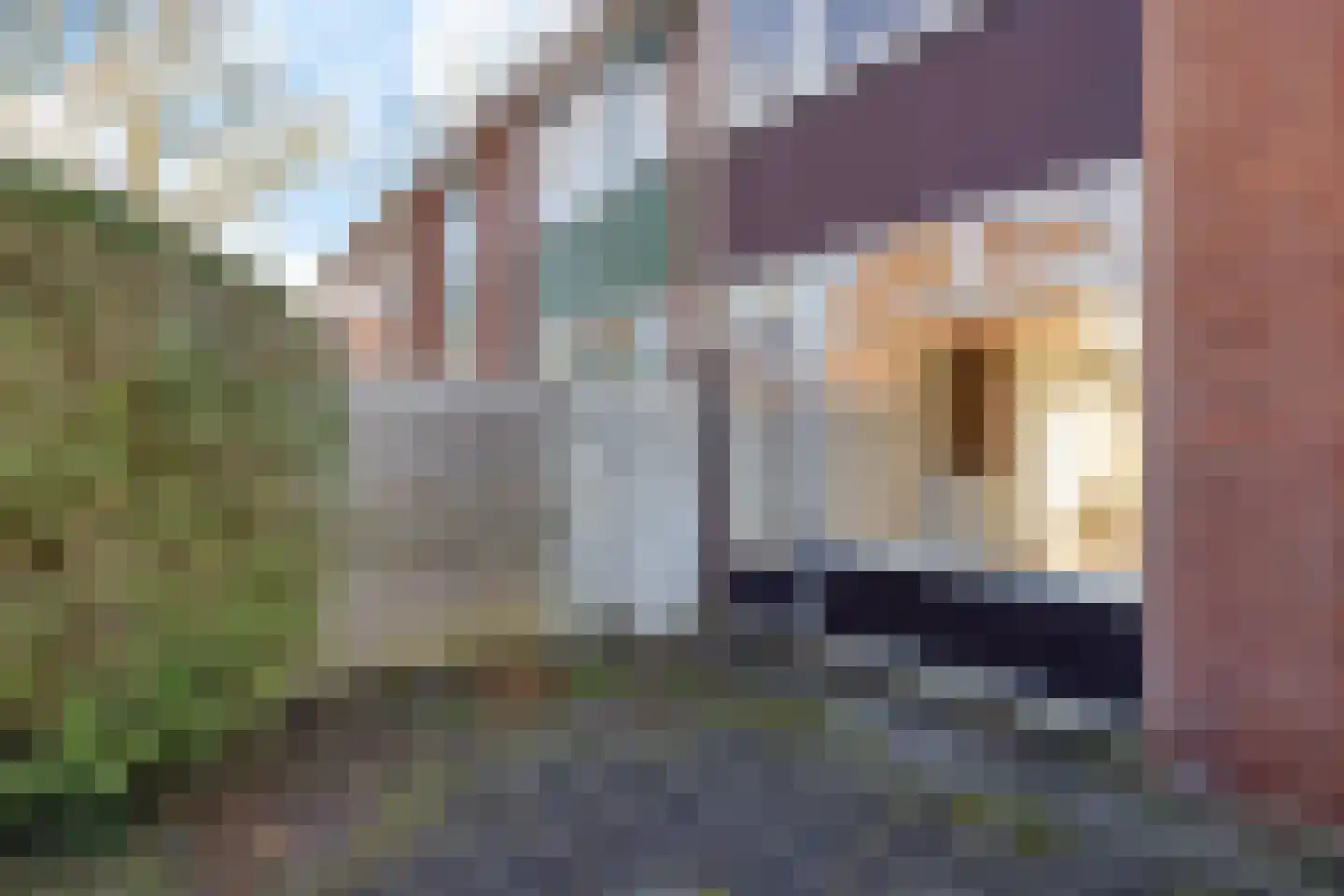 Pinksterbloemweg 36 Haren Gn thumbnail 50