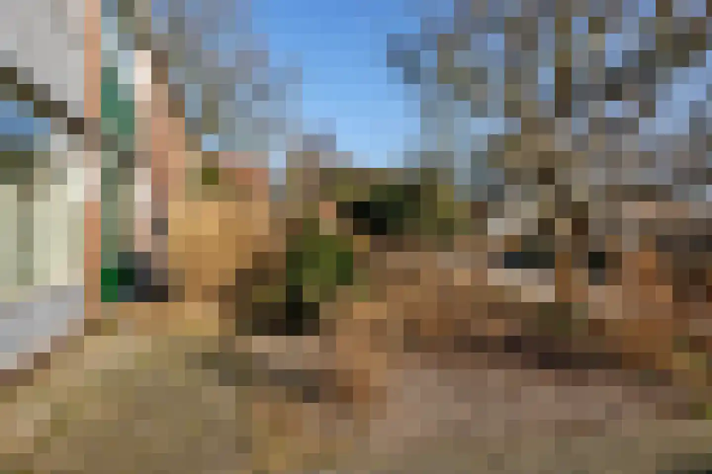 Pinksterbloemweg 36 Haren Gn thumbnail 51