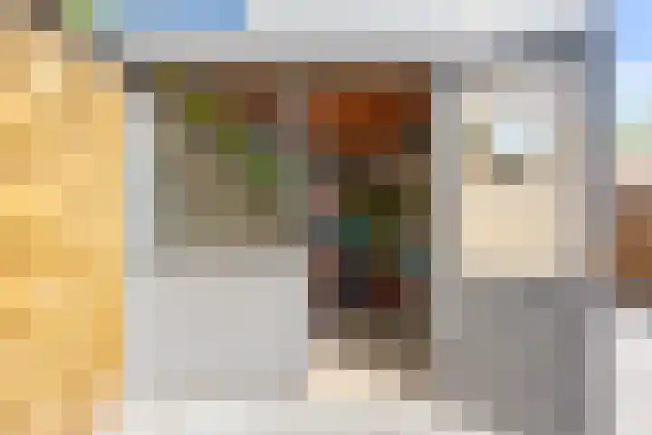Pinksterbloemweg 95 Zaandam thumbnail 17