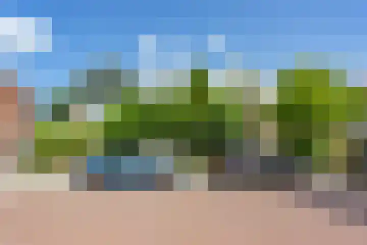 Pinksterbloemweg 95 Zaandam thumbnail 41