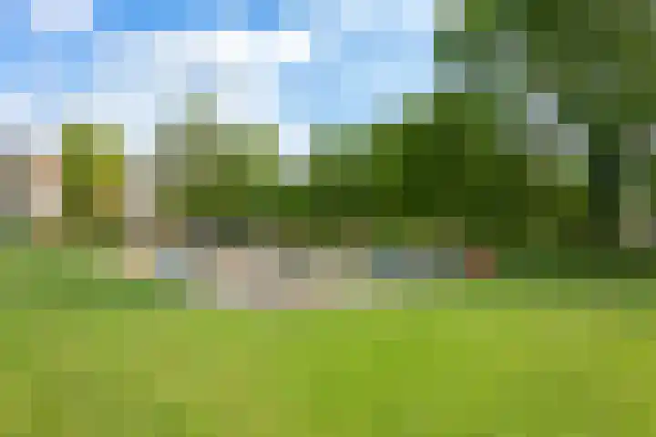 Pinksterbloemweg 95 Zaandam thumbnail 43