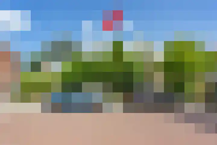Pinksterbloemweg 95 Zaandam thumbnail 54