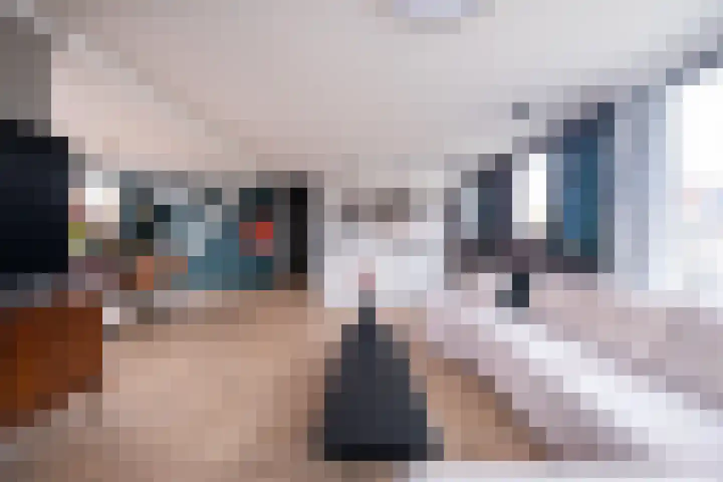 Pinksterblomstraat 1 A Schermerhorn thumbnail 19
