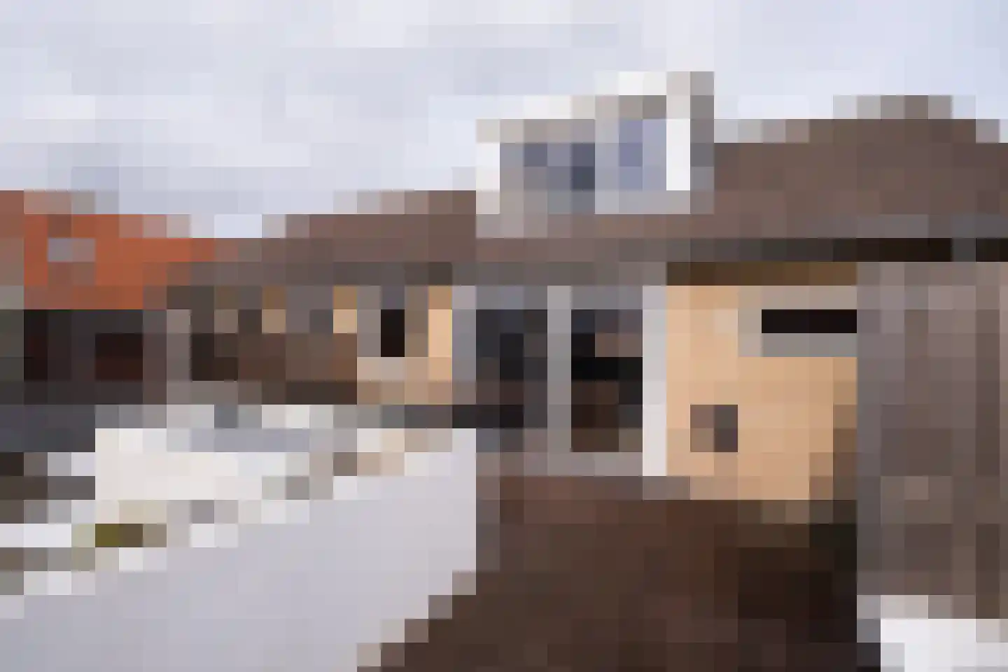Pinksterblomstraat 1 A Schermerhorn thumbnail 28