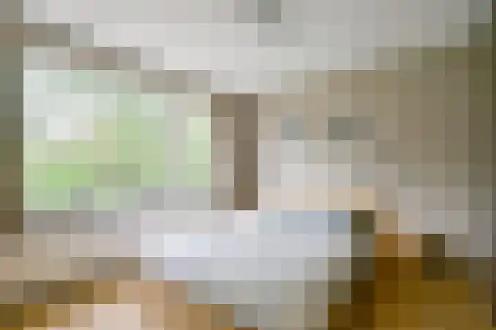 Pinksterblomstraat 69 Schermerhorn thumbnail 11