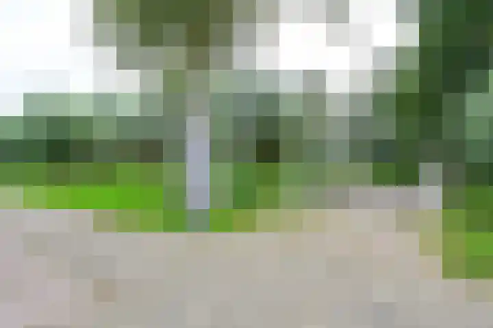 Pinksterblomstraat 69 Schermerhorn thumbnail 22