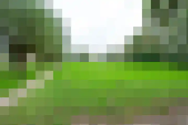 Pinksterblomstraat 69 Schermerhorn thumbnail 23