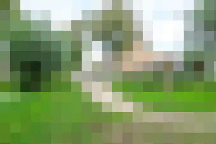 Pinksterblomstraat 69 Schermerhorn thumbnail 24