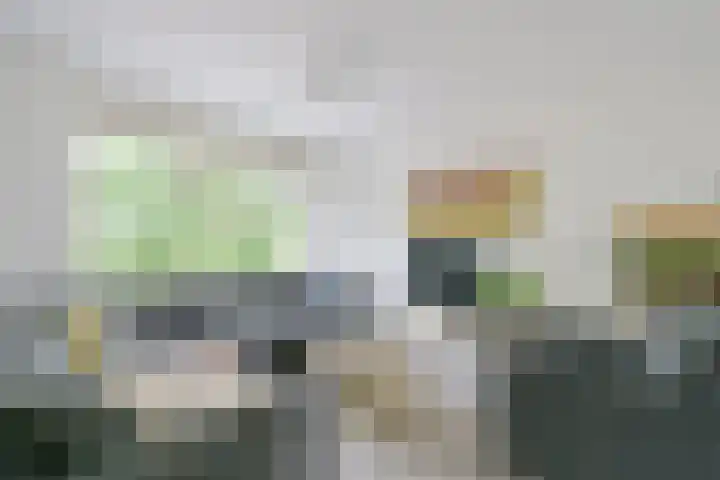 Pinksterblomstraat 69 Schermerhorn foto 3