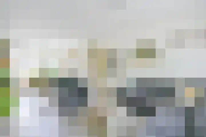 Pinksterblomstraat 69 Schermerhorn thumbnail 5