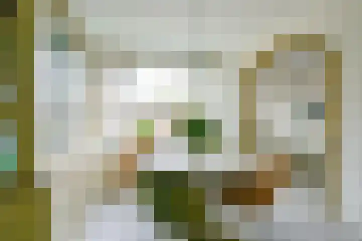 Pinksterblomstraat 69 Schermerhorn thumbnail 6