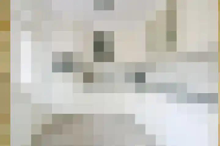 Pinksterblomstraat 69 Schermerhorn thumbnail 7