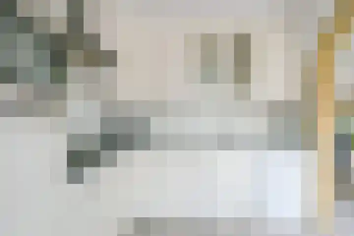 Pinksterblomstraat 69 Schermerhorn thumbnail 8