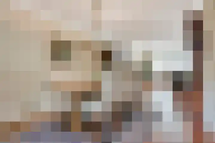Pinkvelden 2 B Best thumbnail 13