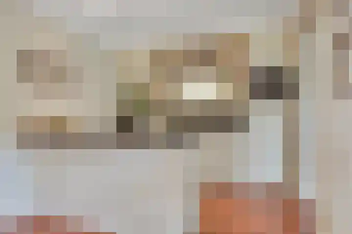 Pinkvelden 2 B Best thumbnail 15
