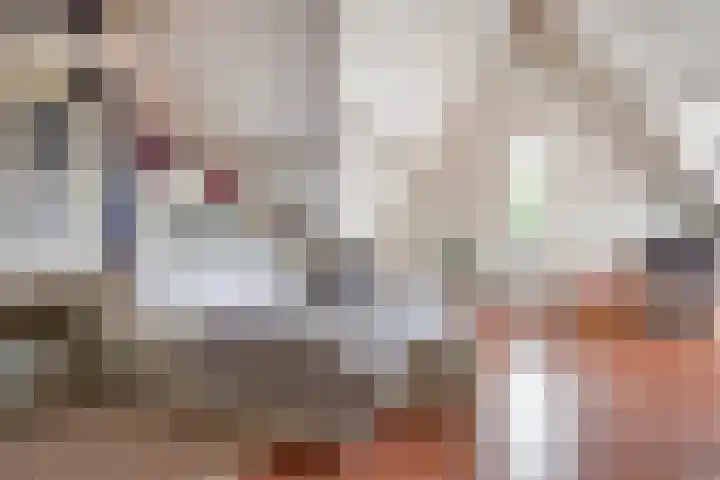 Pinkvelden 2 B Best thumbnail 30
