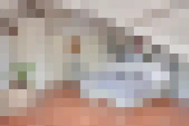 Pinkvelden 2 B Best thumbnail 32