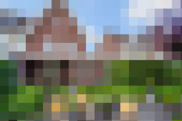 Pinkvelden 2 B Best thumbnail 34