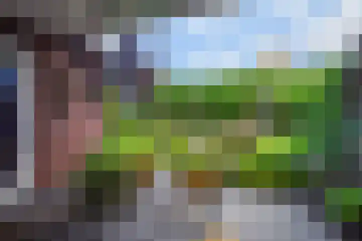 Pinkvelden 2 B Best thumbnail 37