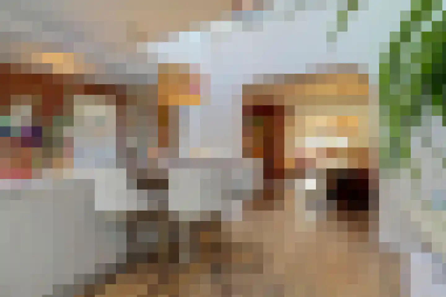 Pinkvelden 2 C Best thumbnail 19