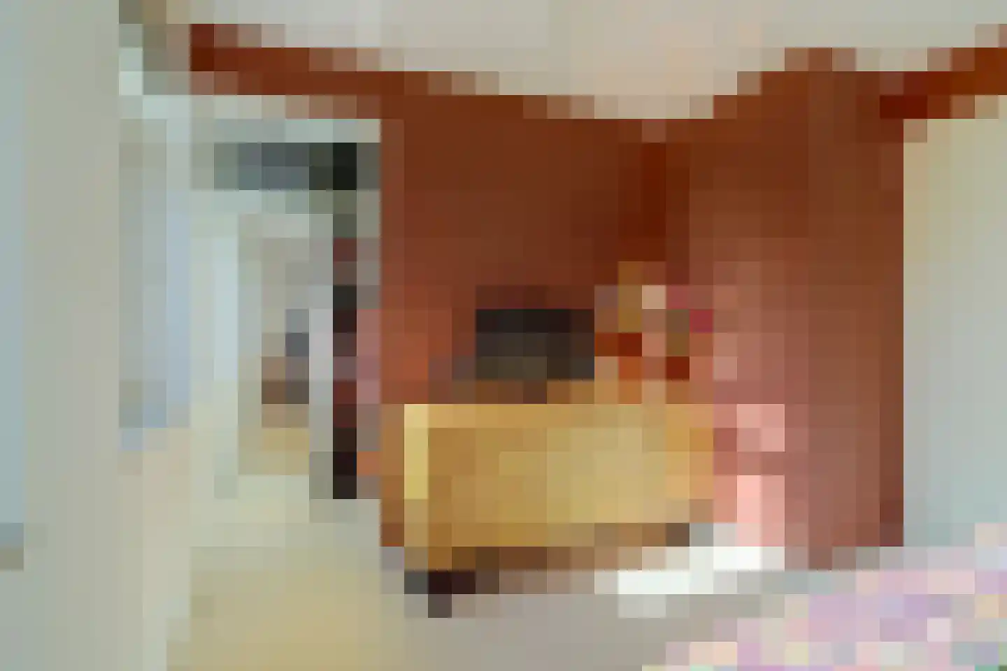Pinkvelden 2 C Best thumbnail 29