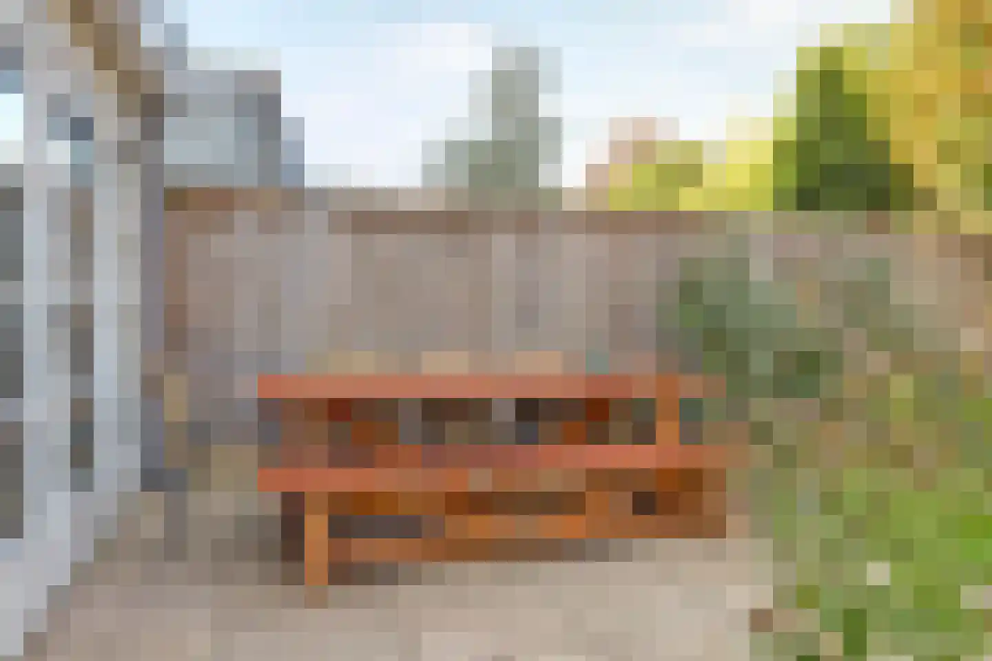 Pinkvelden 2 C Best thumbnail 53