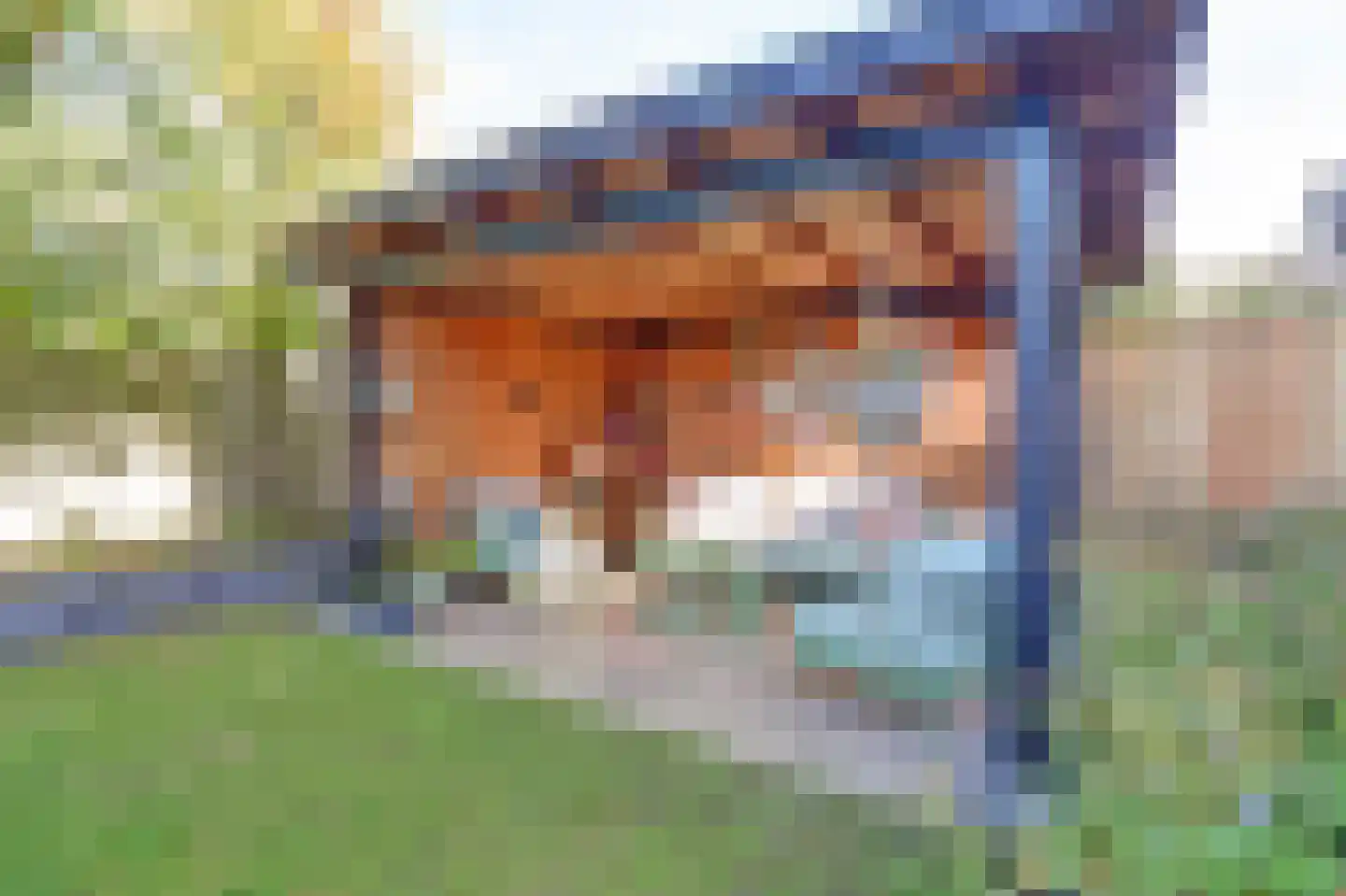 Pinkvelden 2 C Best thumbnail 54