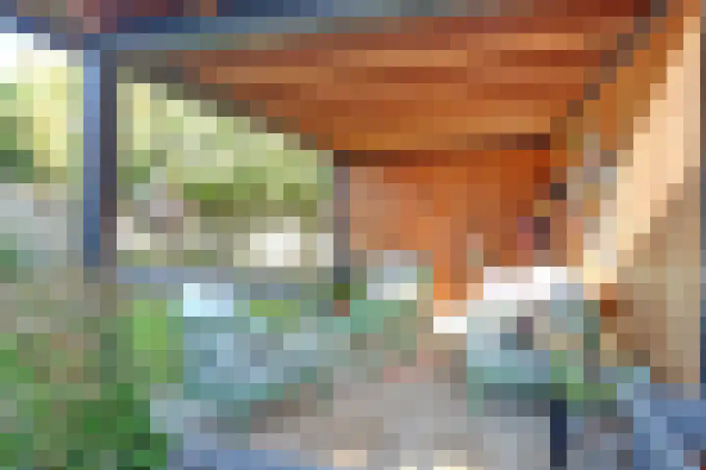 Pinkvelden 2 C Best thumbnail 55